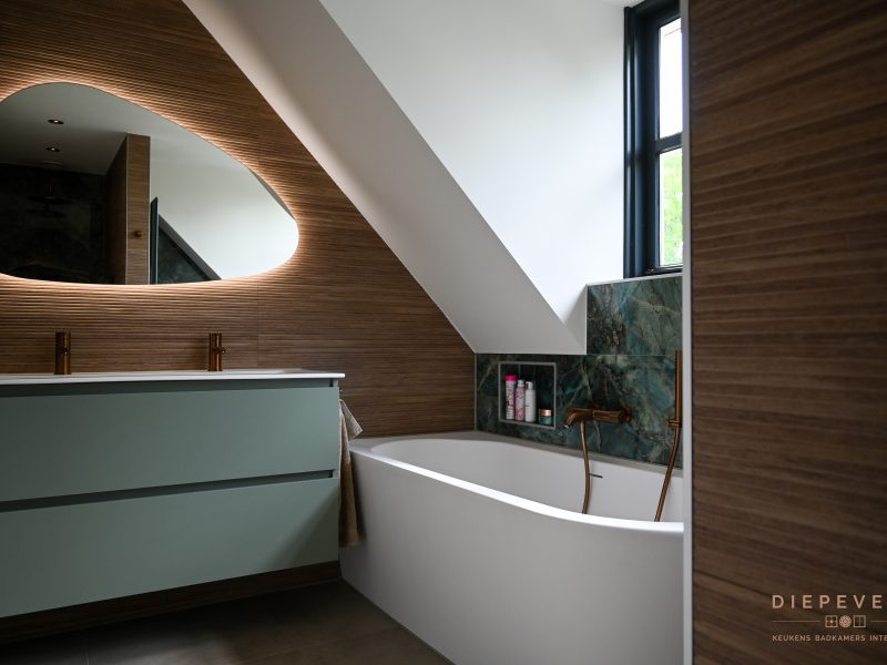 Unieke badkamer en toilet, Den Dungen